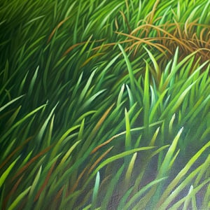 grass